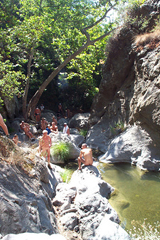 Hike along the creek in SoCal